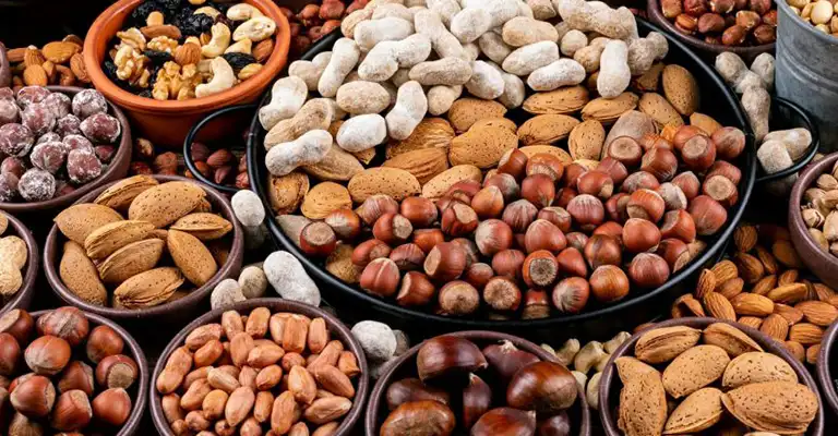 آجیل‌های مناسب برای گیاهخواران